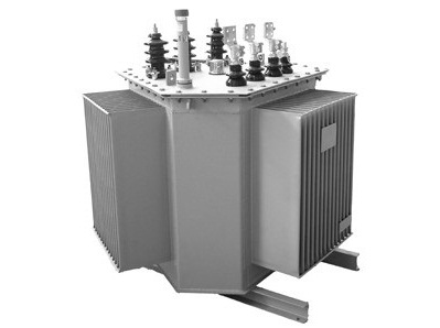 S20-M.RL-100-10-NX2（標準化）油浸式變壓器